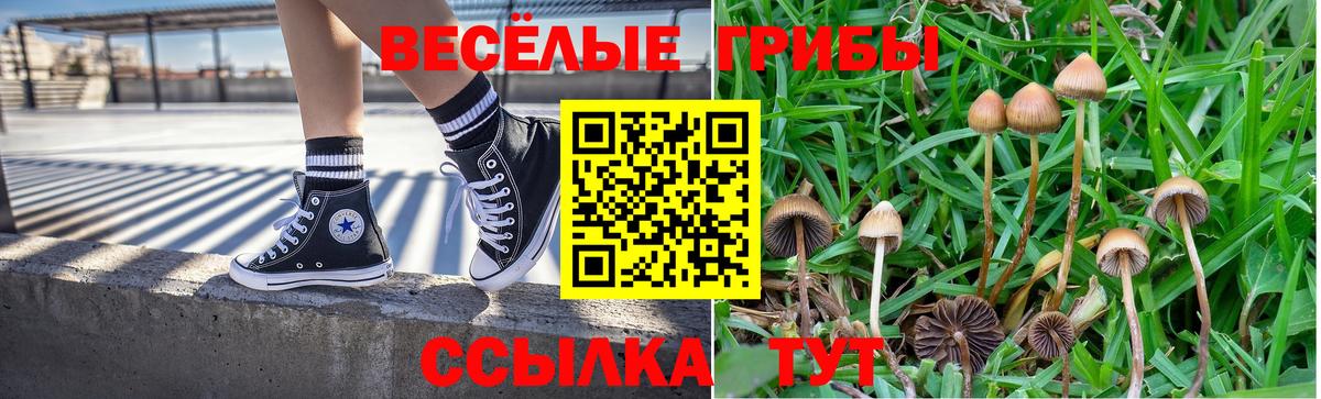 Галлюциногенные грибы прущие грибы  Вход с VPN  Новоалександровск 